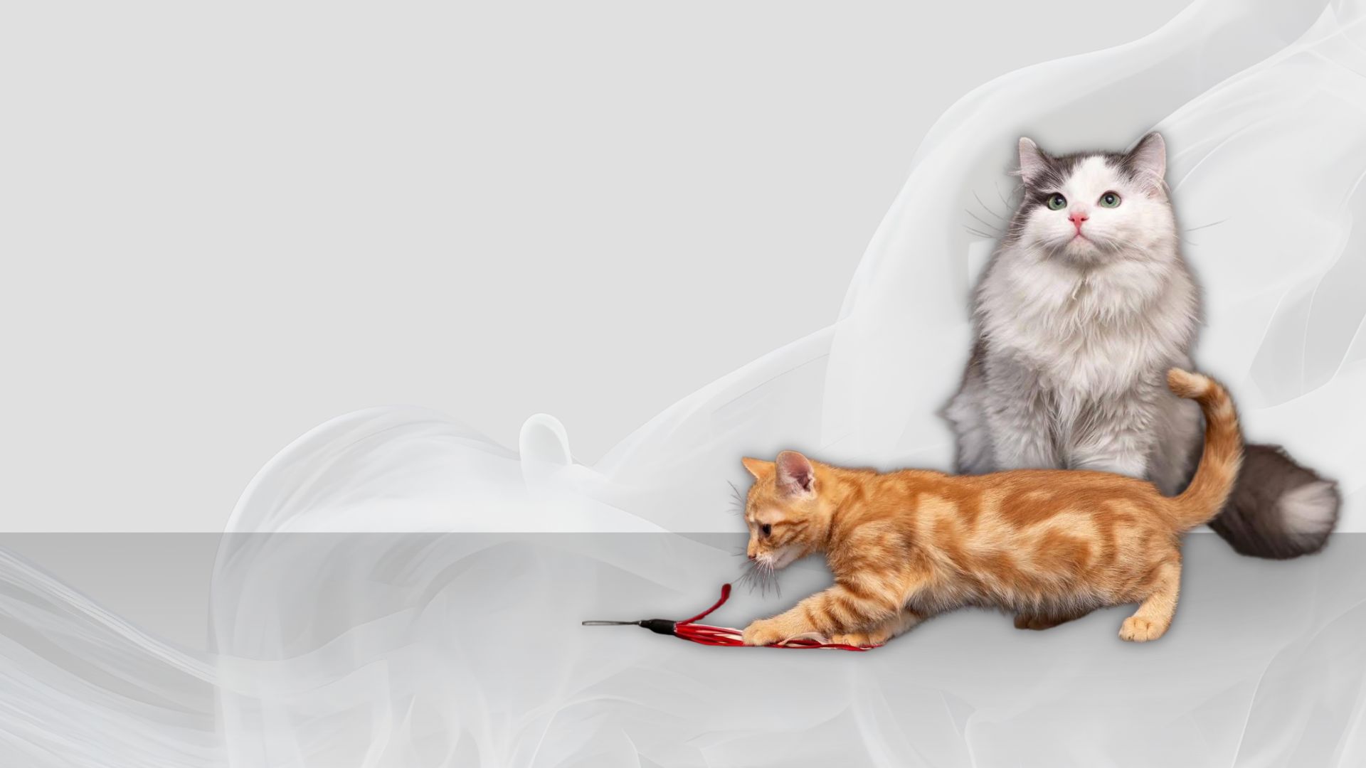 promo-banner-image